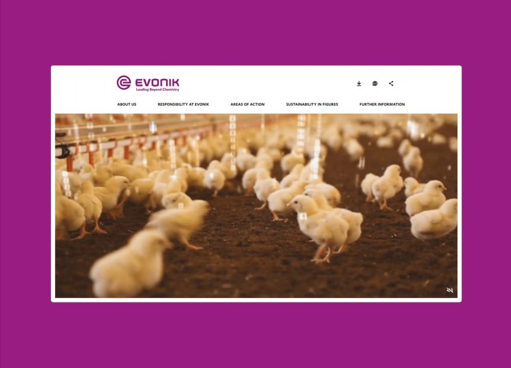 Evonik Industries